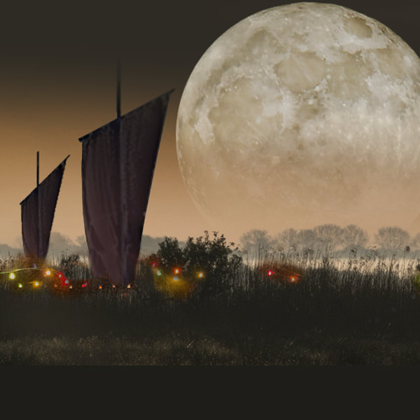 Torfk&auml;hne und die HammeNacht