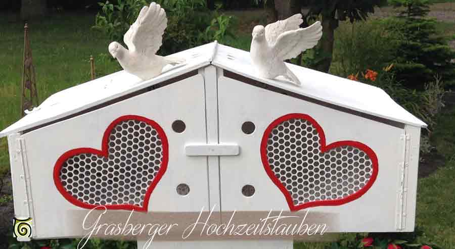 Grasberger Hochzeitstauben