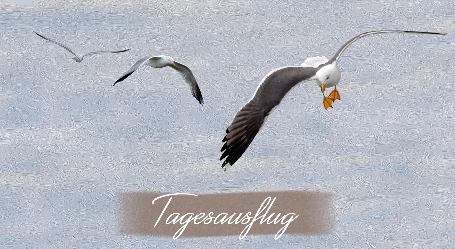 Tagesausflug