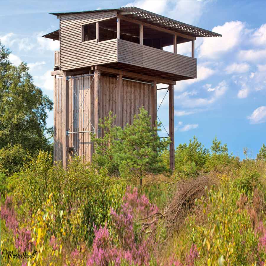 Moorturm Forstort Aussichtsturm