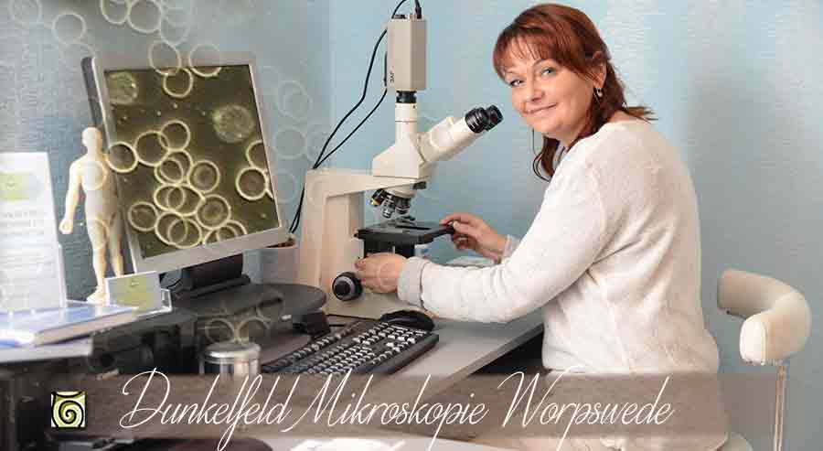 Dunkelfeld Diagnostik