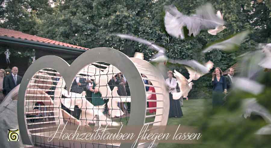 Hochzeitstauben fliegen lassen