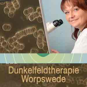 Dunkelfeld Diagnostik