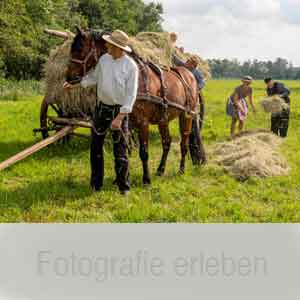 Foto Miesner Grasberg