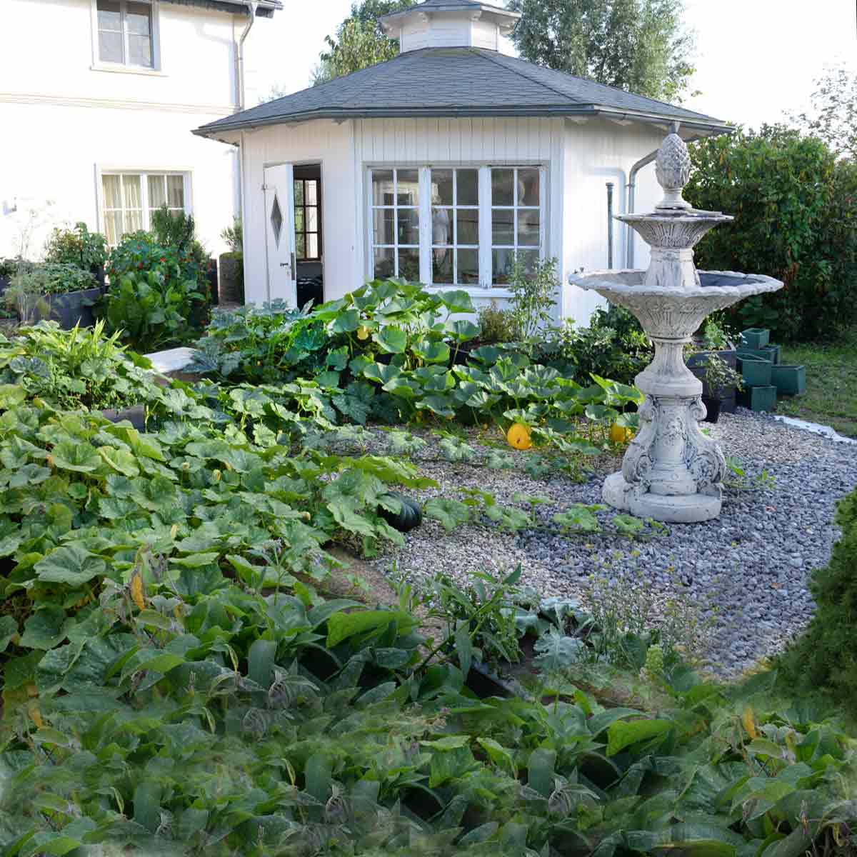 Kr&auml;utergarten anlegen